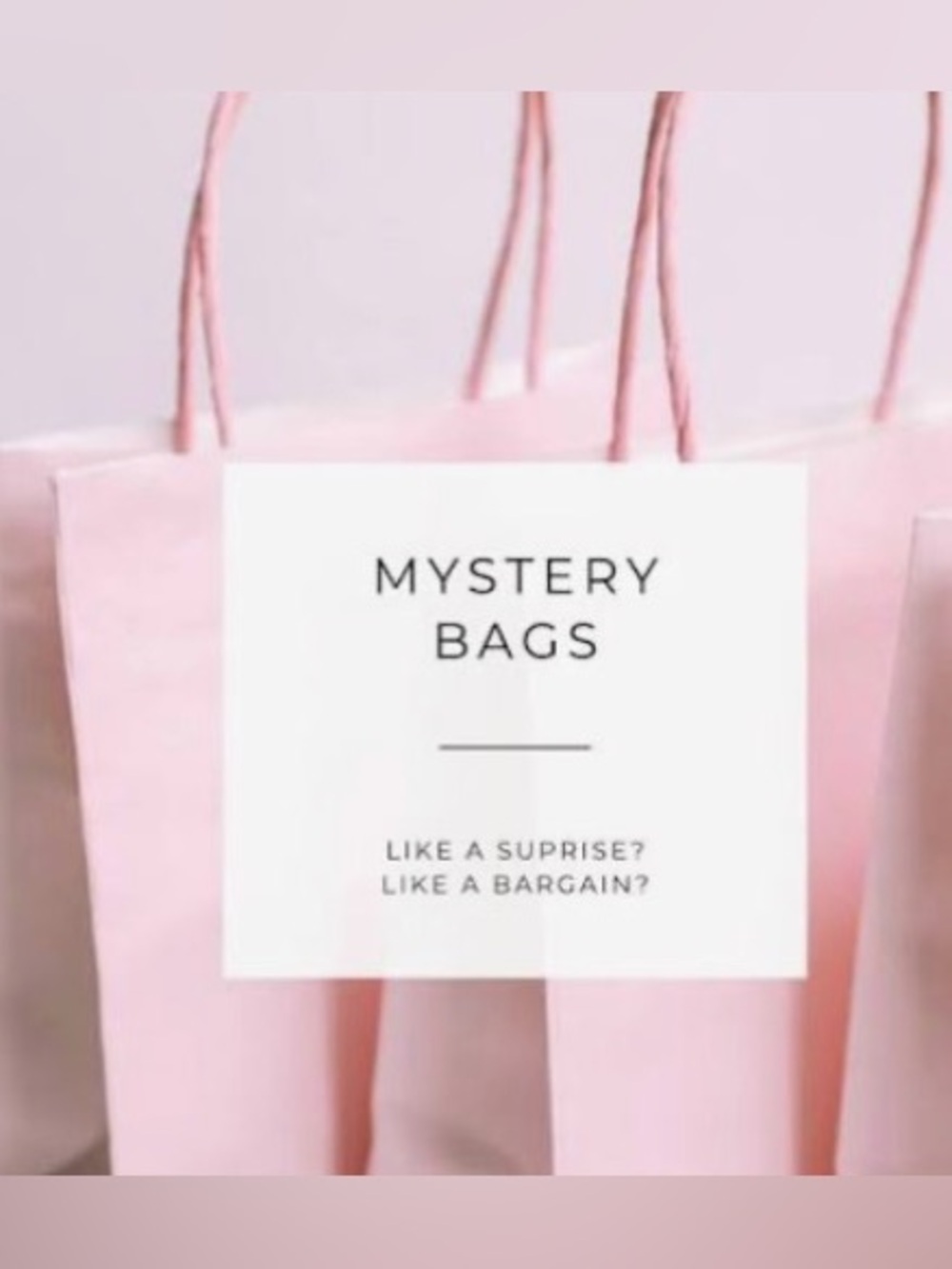 🛍️MYSTERY BAG! 🛍️ $50/Each